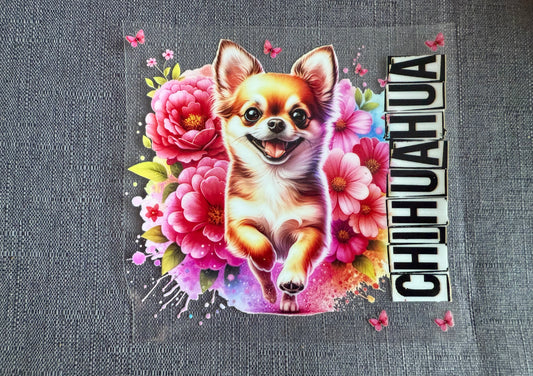 Dog Wrap A1