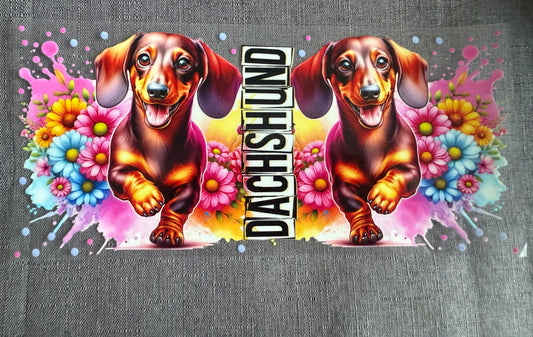Dog Wrap B0
